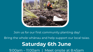 Planting day