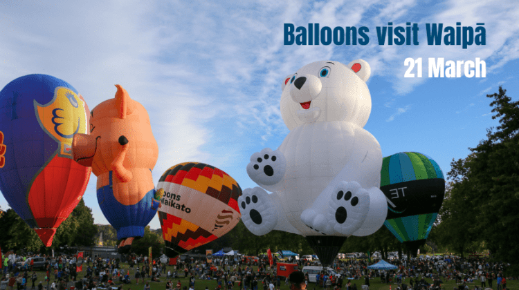 Whats on Waipa banner