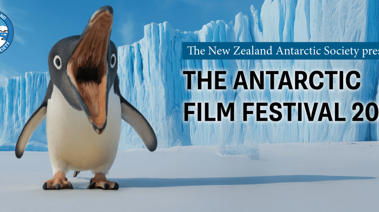 image AFF banner cropped